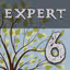 enigmatica 6 expert e6e
