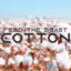 ftb cotton